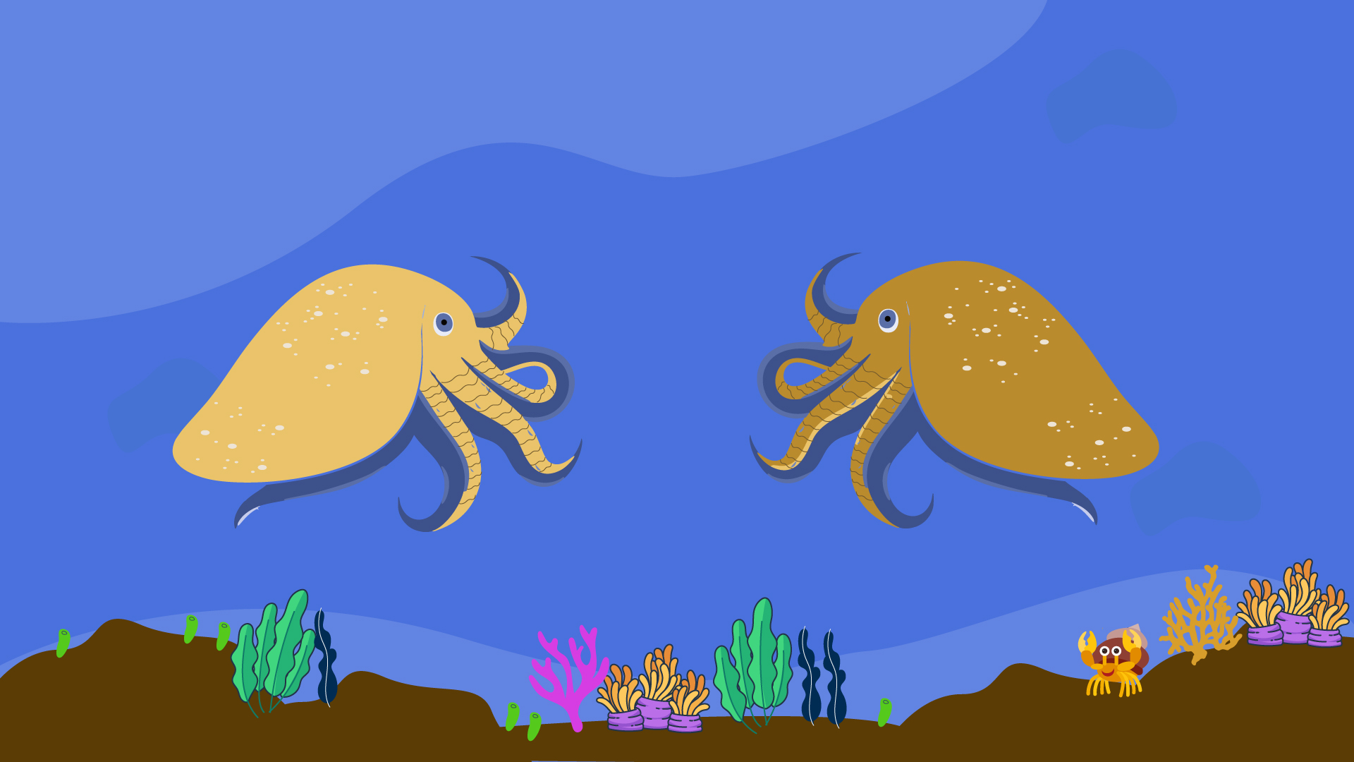 Imagen de dos sepias mirándose en el mar